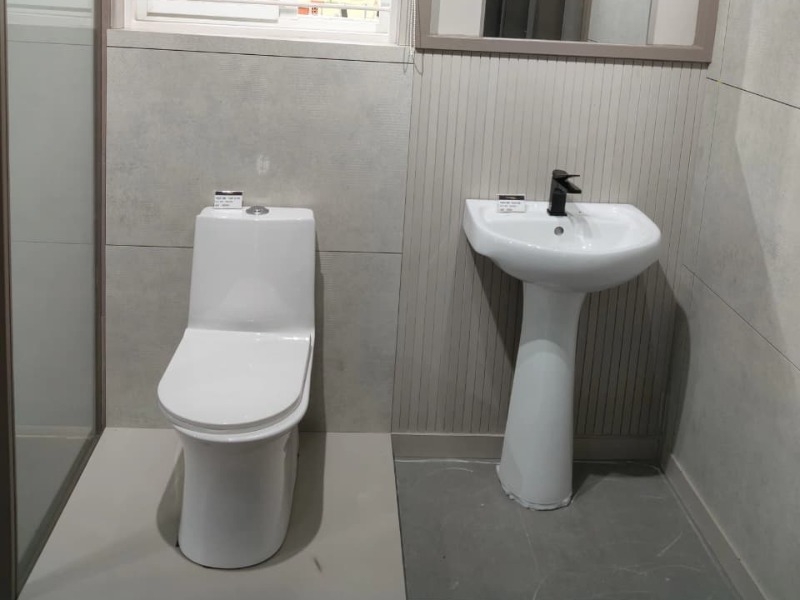 Single piece closet & Wash basin